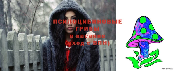 мяу мяу мука Алексин