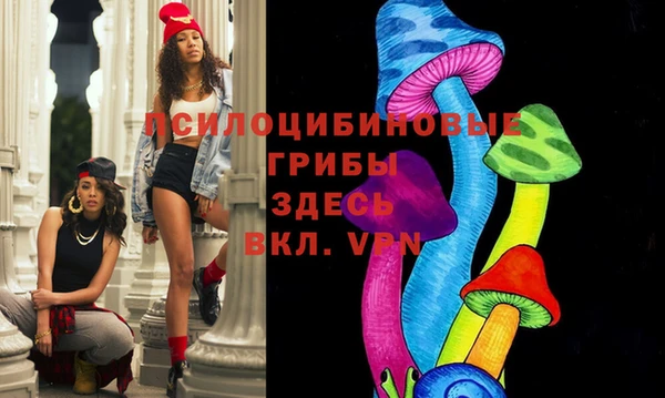 мяу мяу мука Алексин